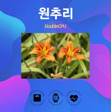 원추리 알아보기
