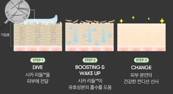 리들샷-시카리들-피부-침투-유효성분-흡수-도움