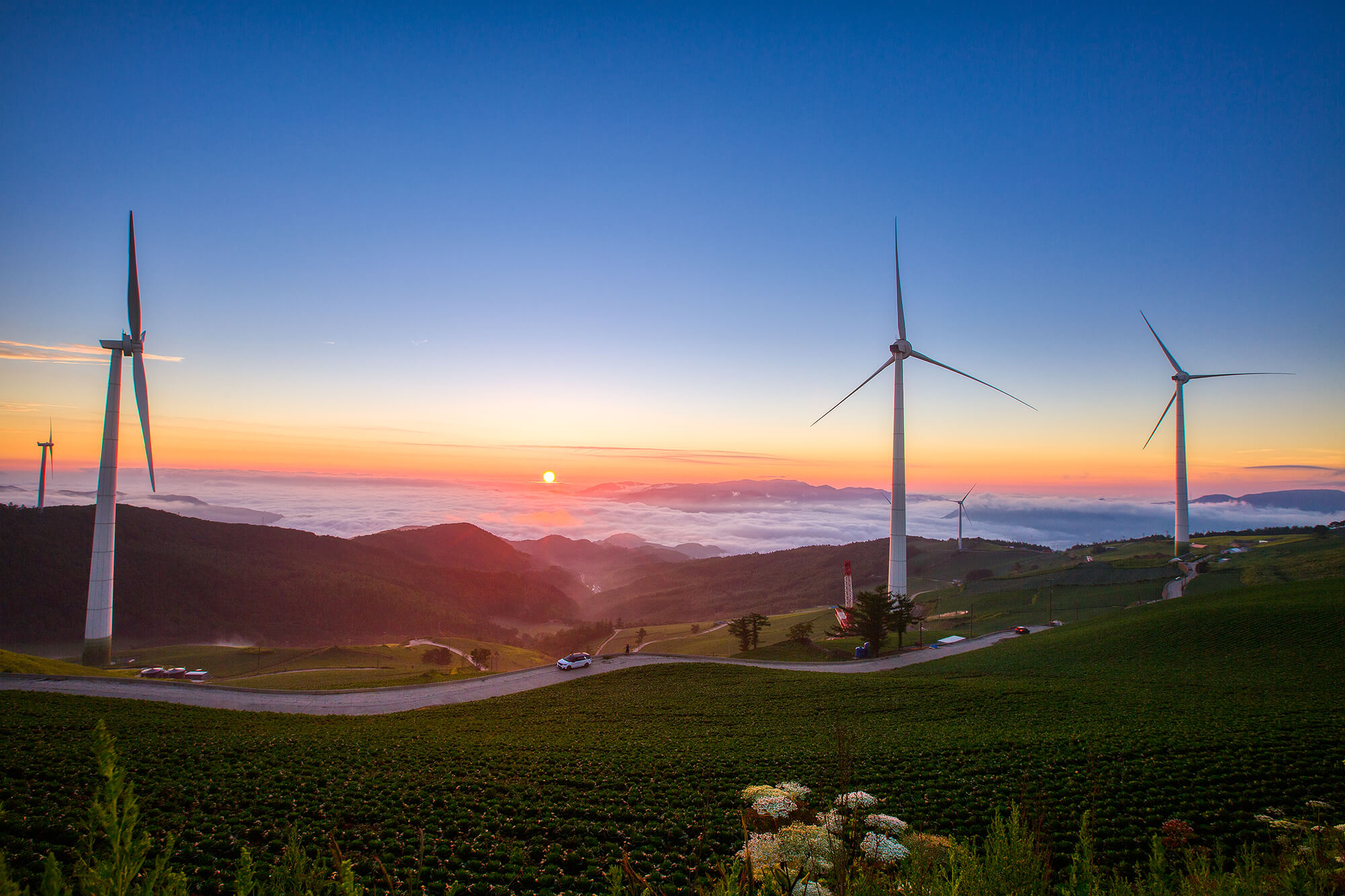 태택 매봉산 일출