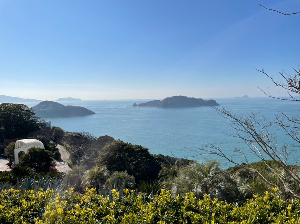 통영 가볼만한 곳 장사도해상공원까멜리아