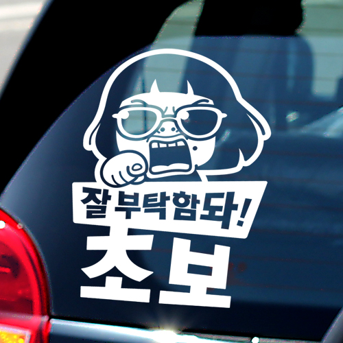 초보-운전자-자동차-보험