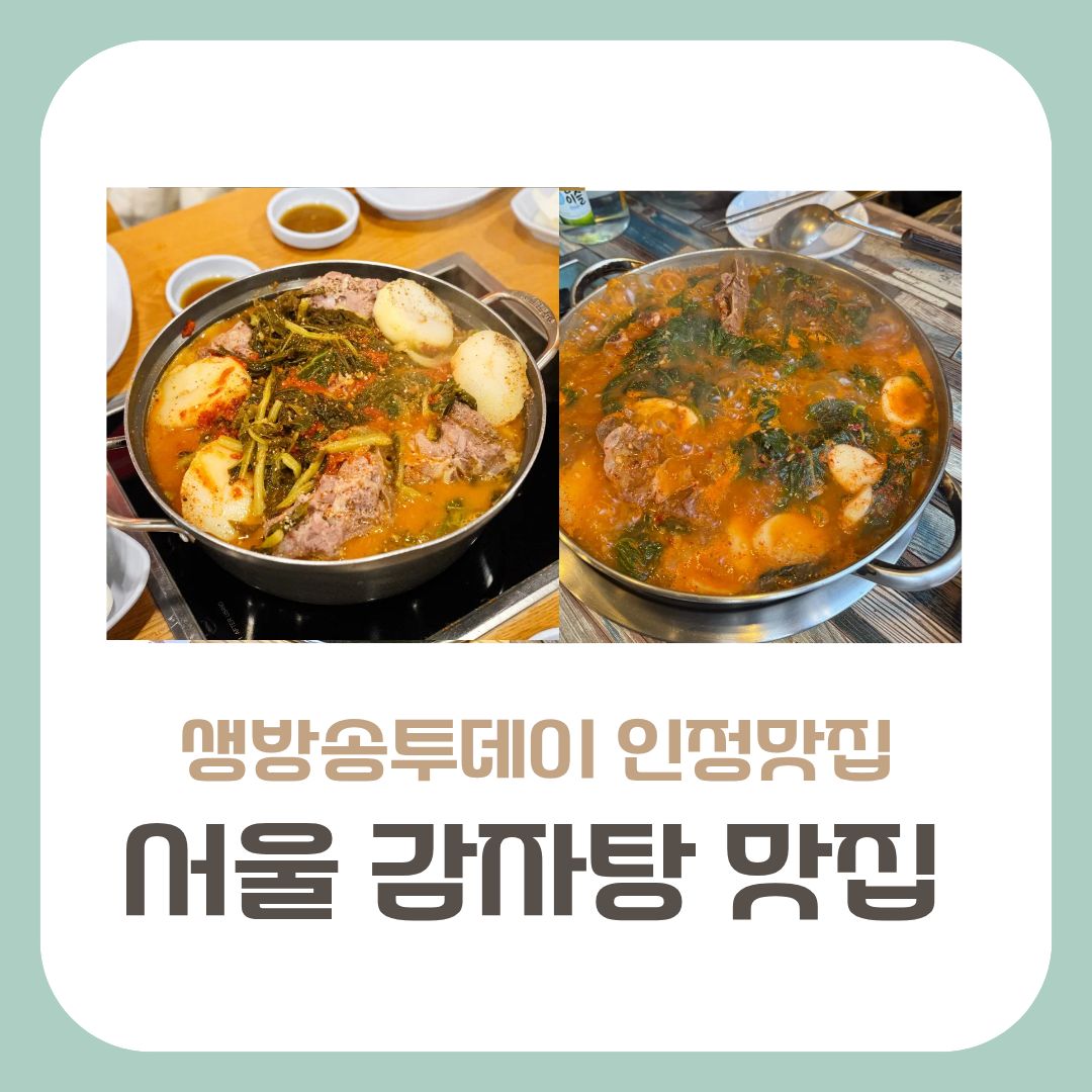 생방송투데이 인정맛집 감자탕