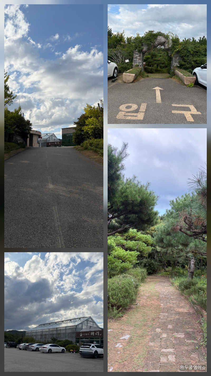 동물의 정원 입구 주차장 모습