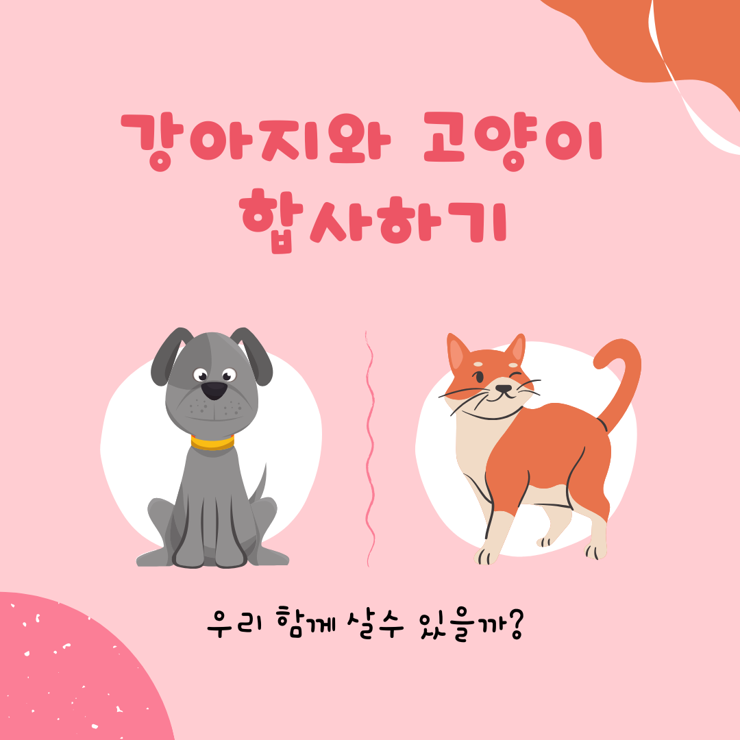 강아지와 고양이 합사하기