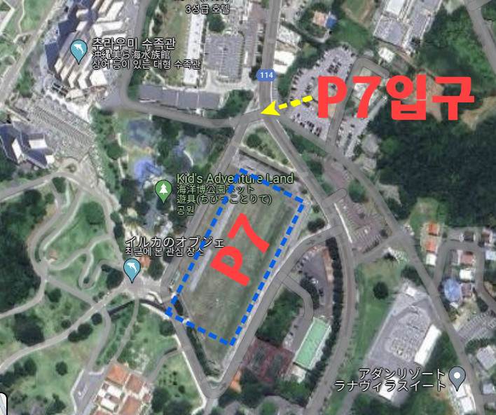 오키나와-츄라우미-수족관