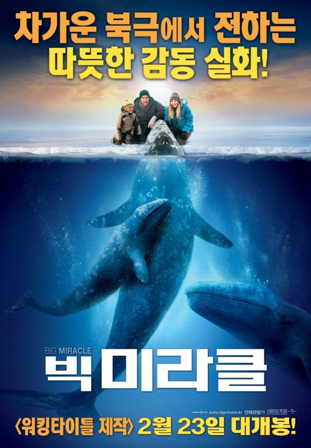빅 미라클 영화 관련 포스터