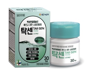 소염진통제 종류