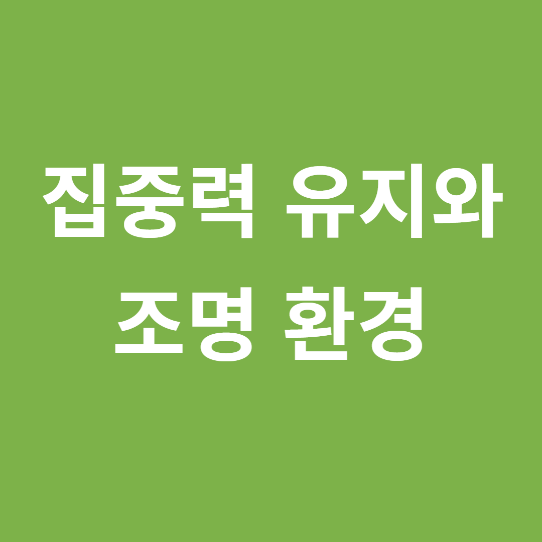 집중력 유지에 최적화된 조명 환경