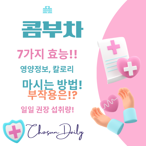 콤부차 효능 7가지 칼로리 영양정보 마시는 방법