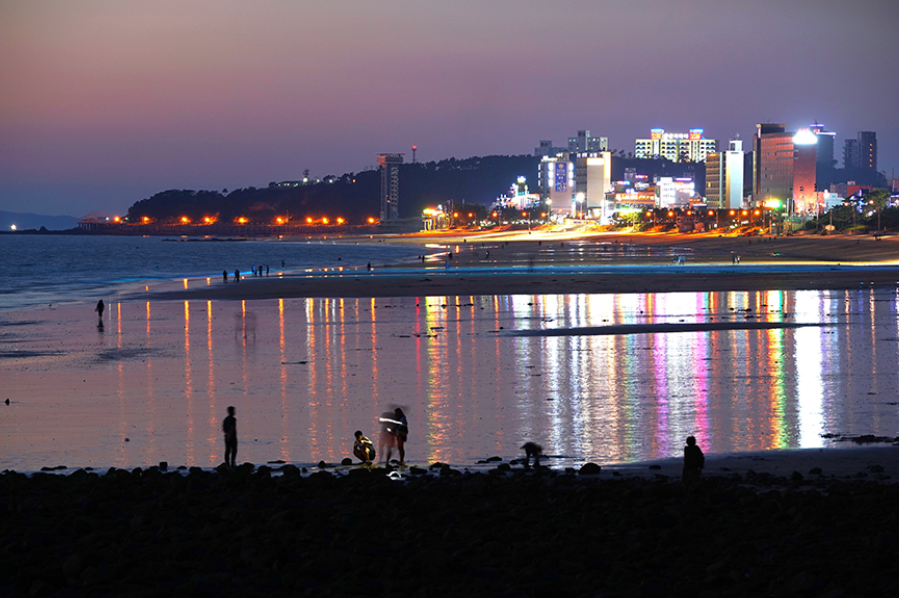 보령 대천해수욕장 관광명소