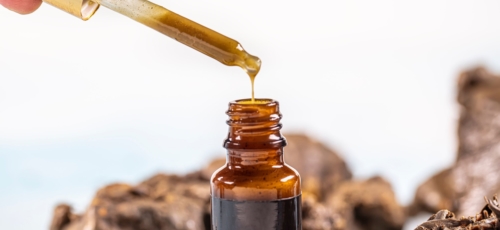 프로폴리스 이미지