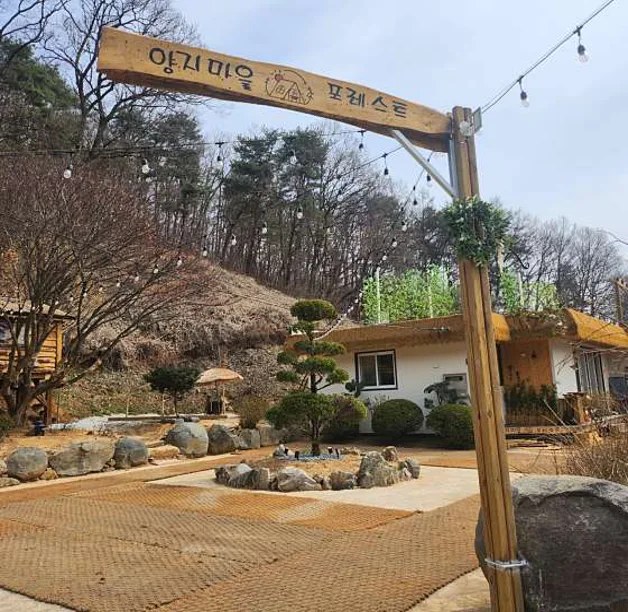 양지마을포레스트