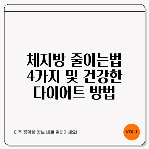 체지방 줄이는법 4가지 및 건강한 다이어트 방법