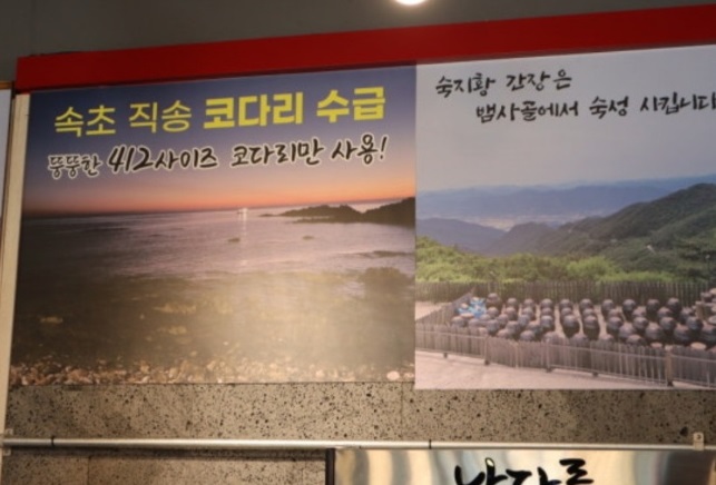 속초-코다리-수급