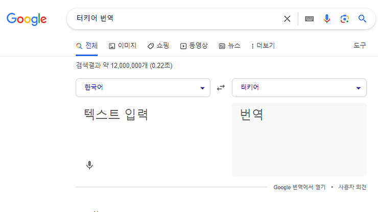 구글-사이트에-터키어-번역-입력-결과