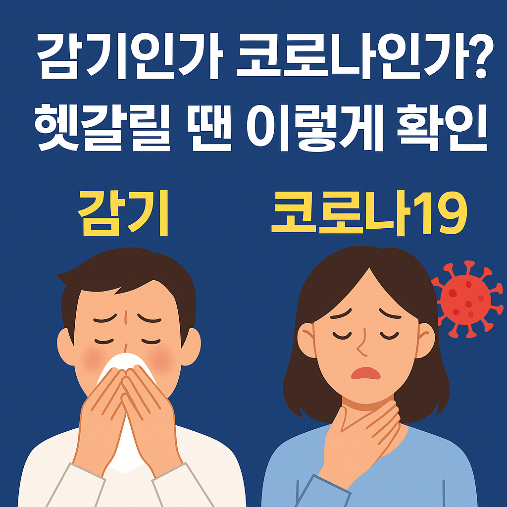 감기인가 코로나인가? 헷갈릴 땐 이렇게 확인하세요!