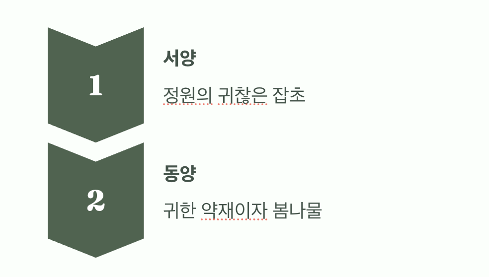 동서양의 다른 시선, 가치의 재발견