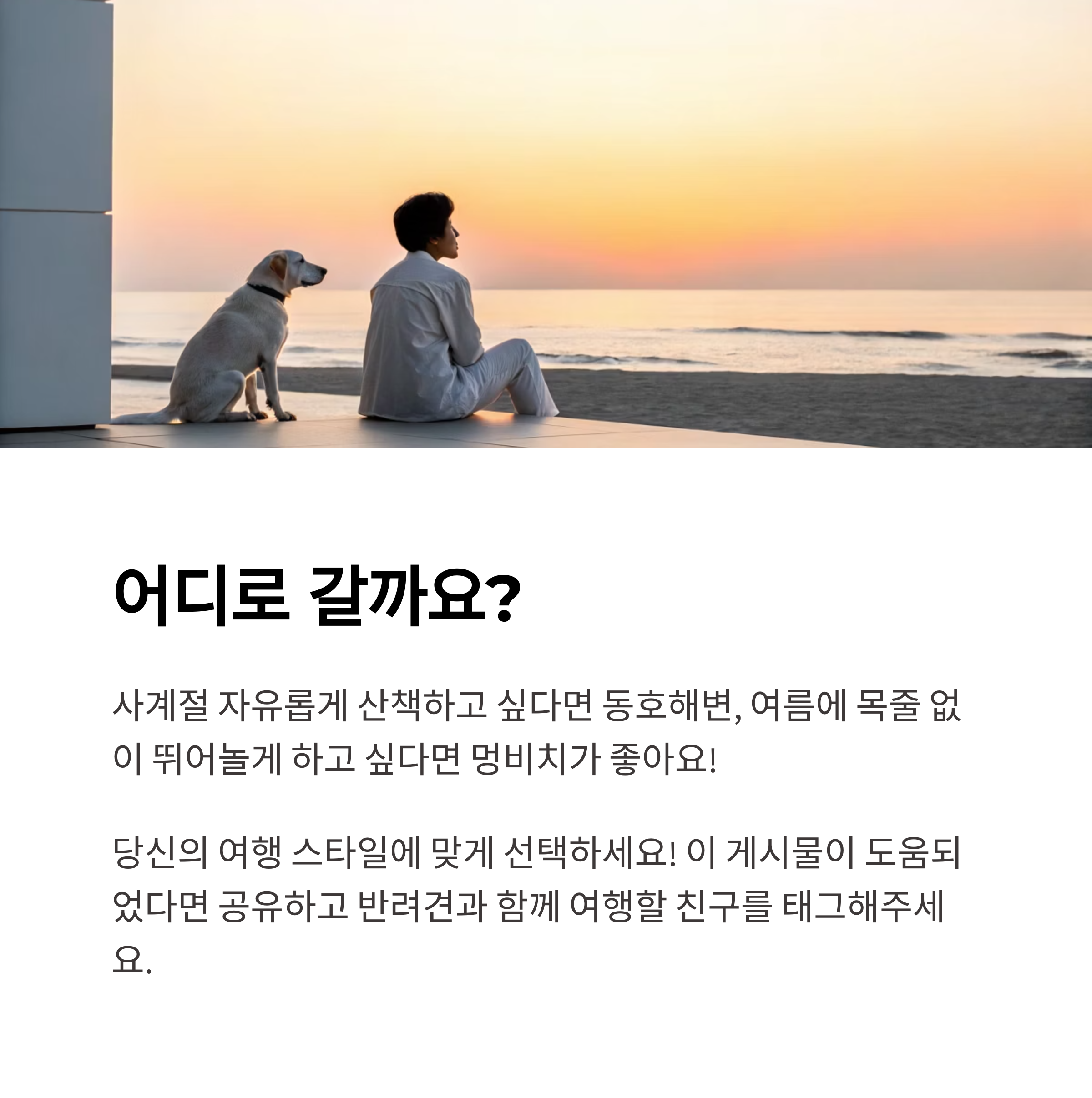 양양 동호해수욕장, 반려견