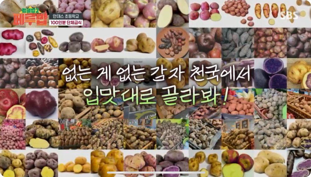 감자 천국