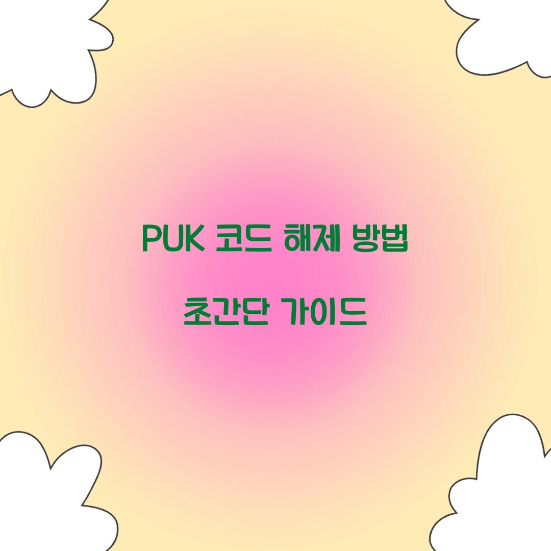 PUK 코드 해제 방법
