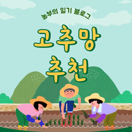 고추망 추천