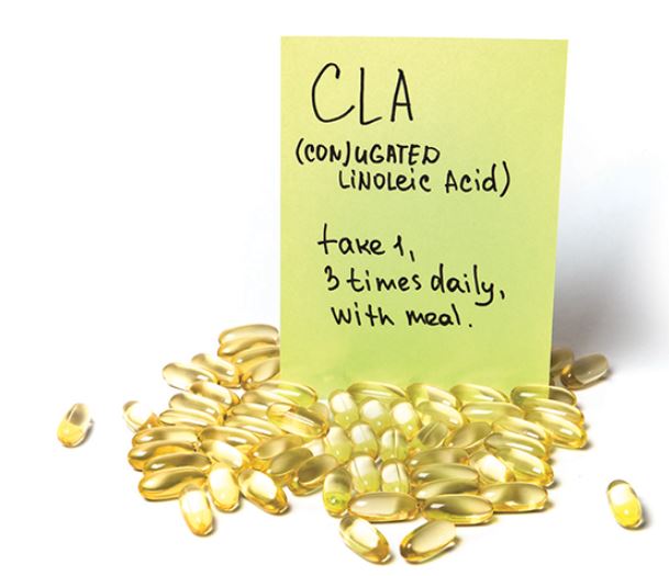 CLA 다이어트 보조제