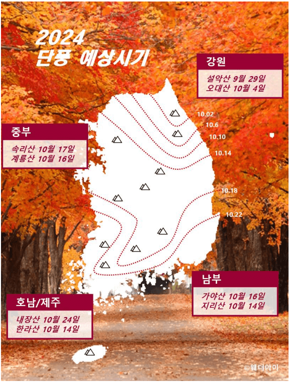 2024 단풍 예상 시기