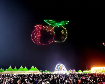 고흥 유자축제_10