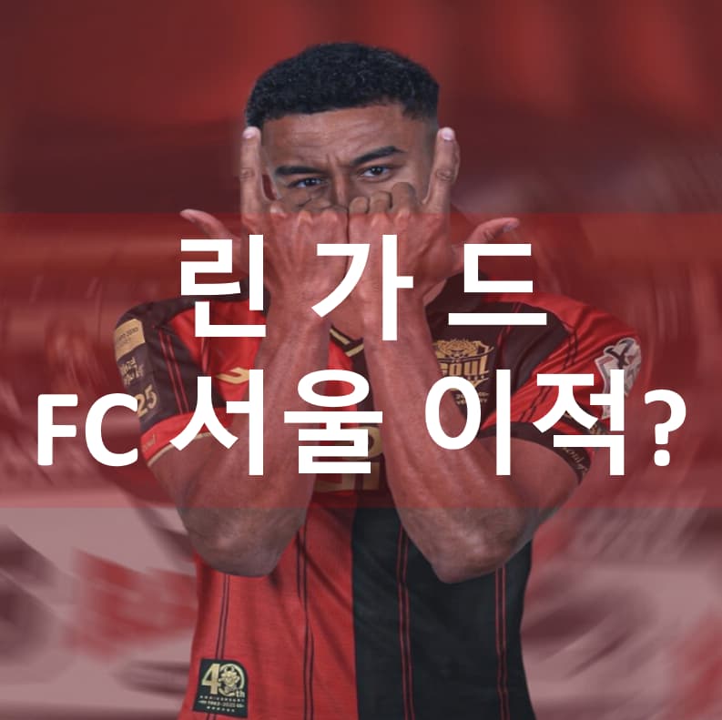 린가드-FC서울이적