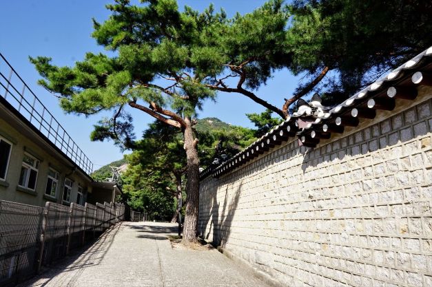 우측에 청와대 담벼락을 기고 올라가는 길, 앞에 큰 소나무,