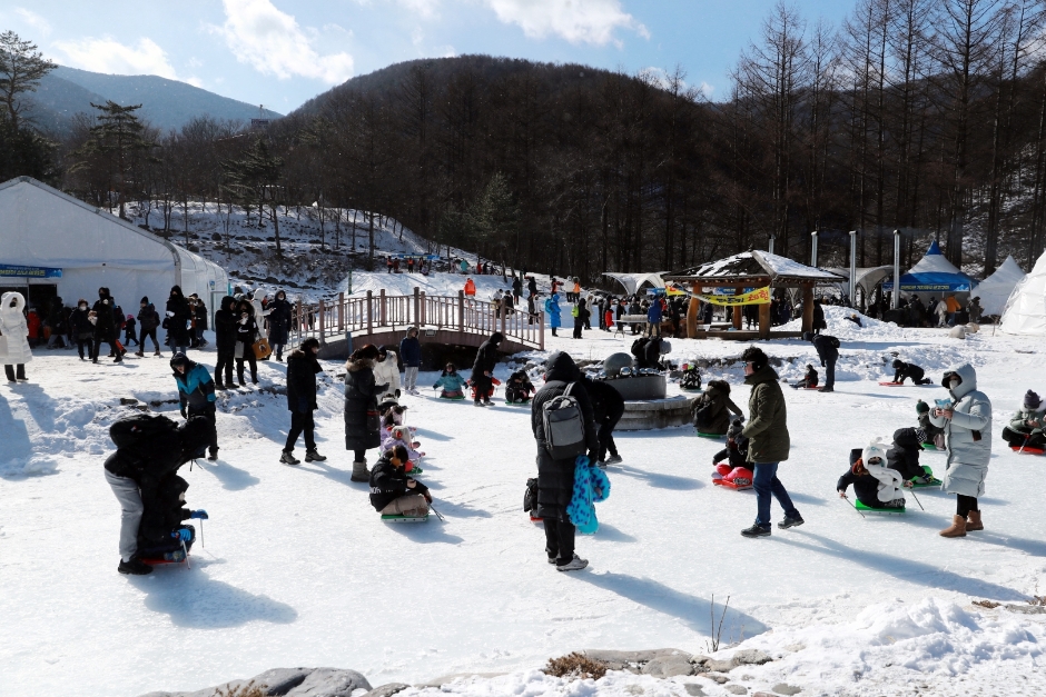 제 31회 태백산 눈축제 기본일정과 프로그램 소개