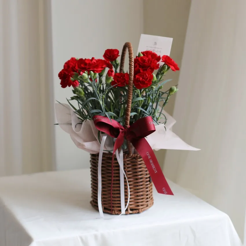 카네이션 화분 키우는 방법 생화 꽃바구니 관리_1