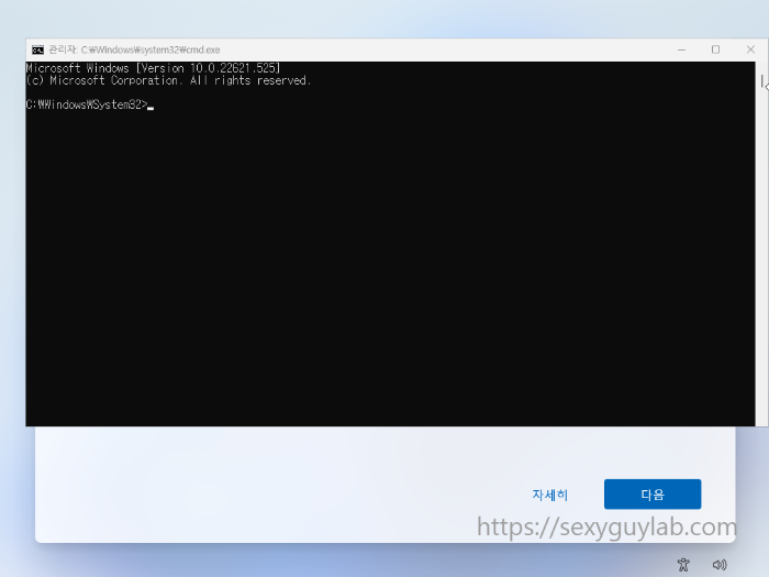 윈도우11 설치 Shift + F10 화면