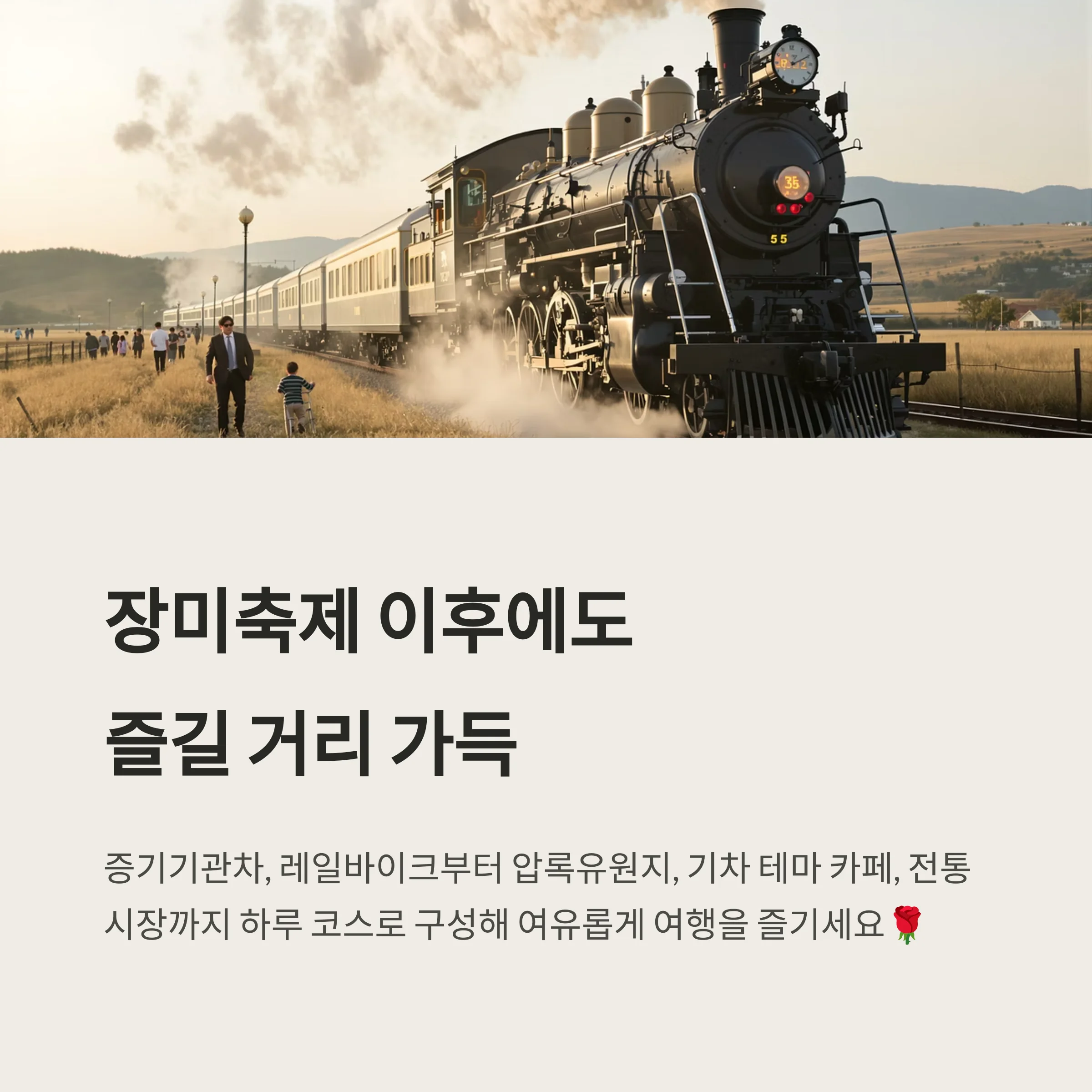 곡성세계장미축제 완벽 가이드