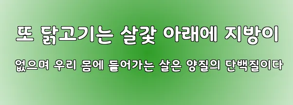  또 닭고기는 살갗 아래에 지방이 없으며 우리 몸에 들어가는 살은 양질의 단백질이다