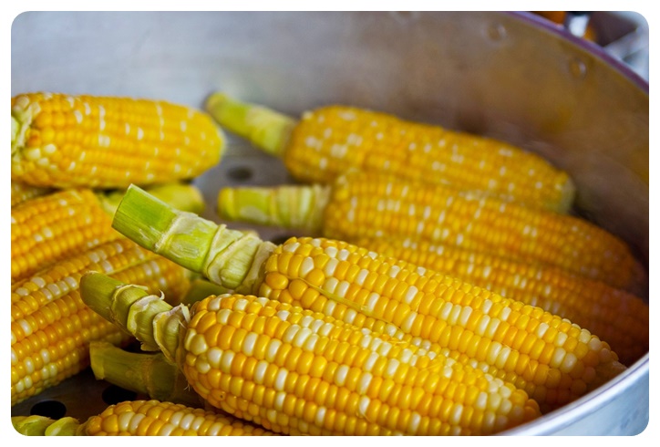 옥수수 대 자르지 말고 함께 보관