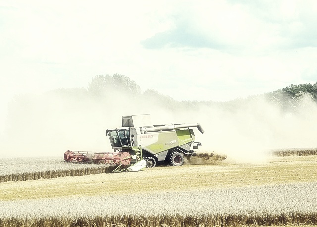 미세먼지 확인방법