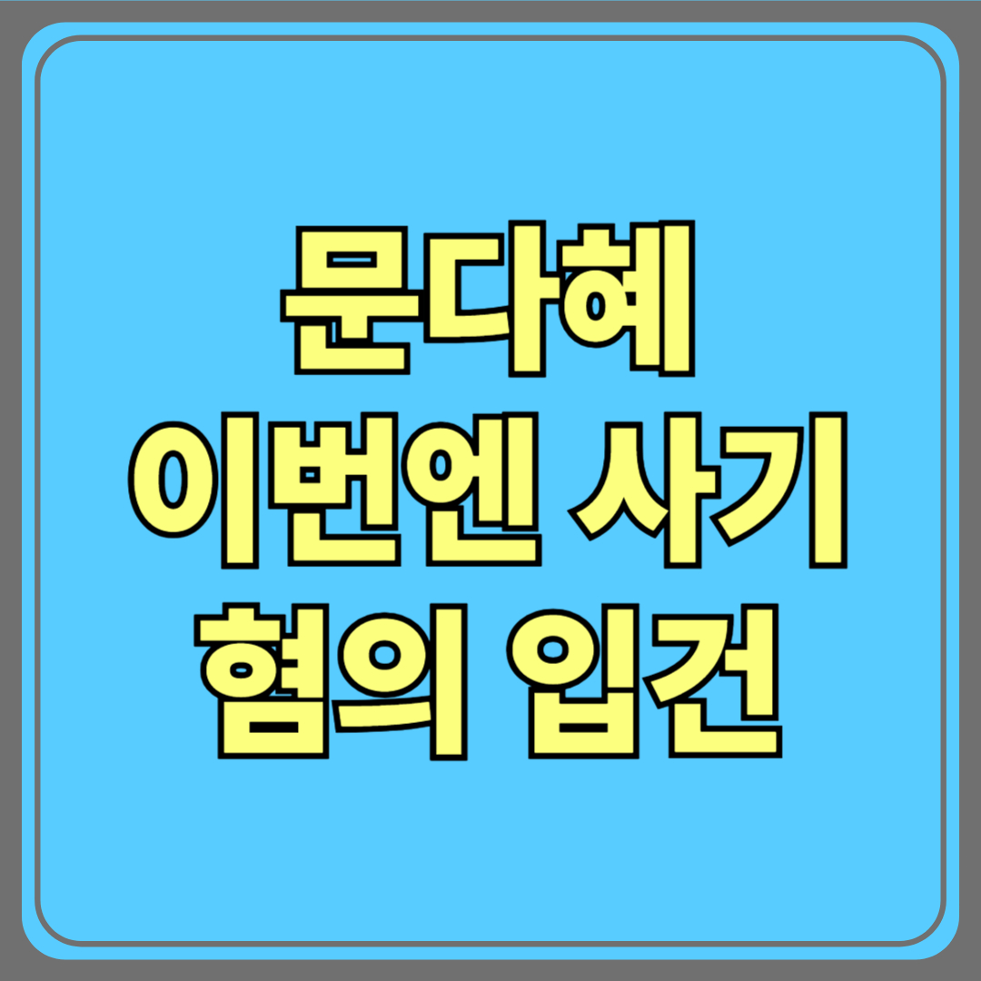 문다혜 자선기부금 사기 혐의 입건|갤러리 바자회 수익금 미기부 논란 수사 중