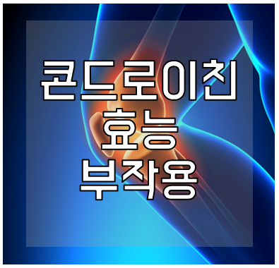 콘드로이친 효능
