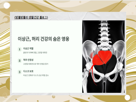 허리디스크 극복의 비밀: 이상근 스트레칭으로 통증 완화하기!