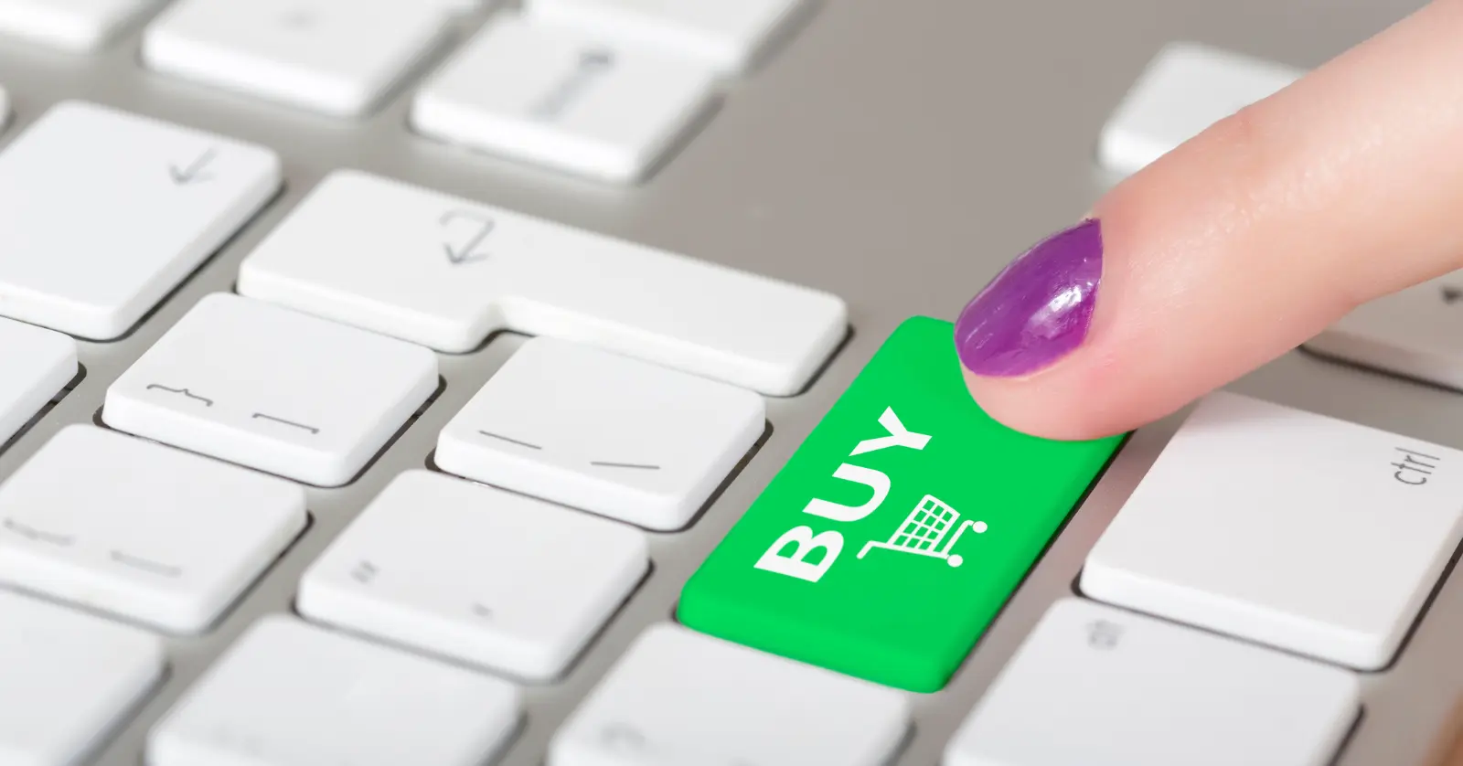 쿠팡 와우 월회비&amp;#44; 현재 얼마인가요?