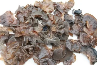 목이버섯 재배 원목 재배 수분 관리 위생 관리_33