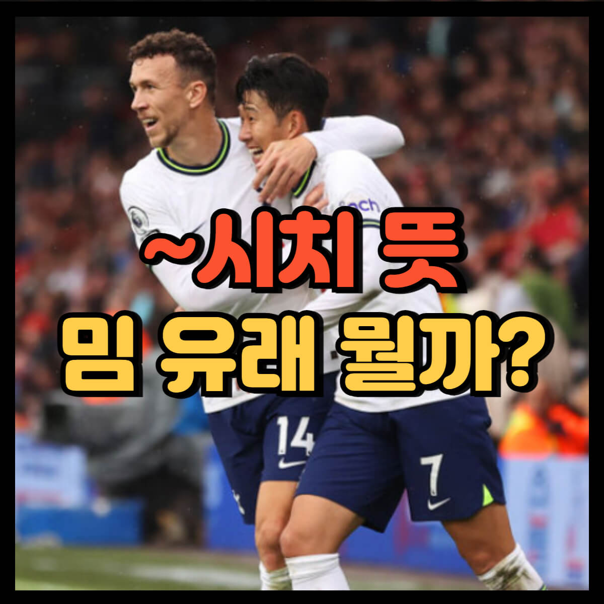 시치 뜻