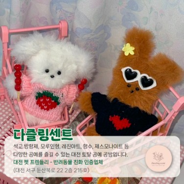 2025 케이펫페어 대전 무료입장 체험클래스 신청