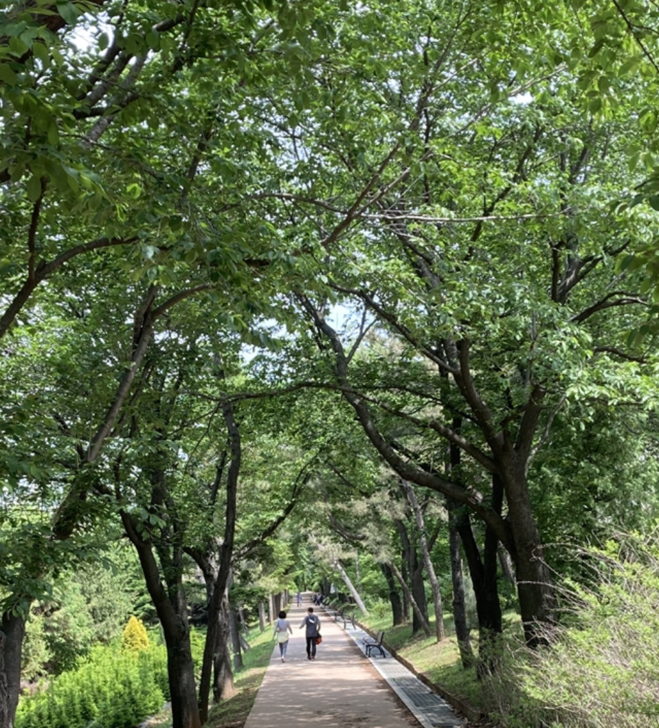 인천 가볼만한곳 베스트10