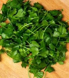 파슬리의 효능 부작용 먹는법 고르는법