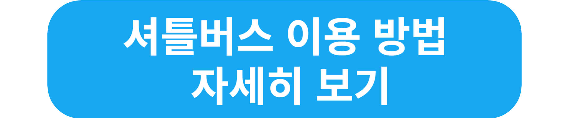 반려견 동반여행