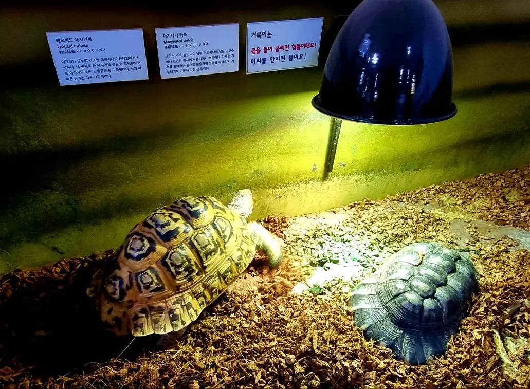 부천자연생태공원3. 부천자연생태박물관: 아이들이 좋아하는 공룡, 곤충, 물고기, 동물이 있는 곳