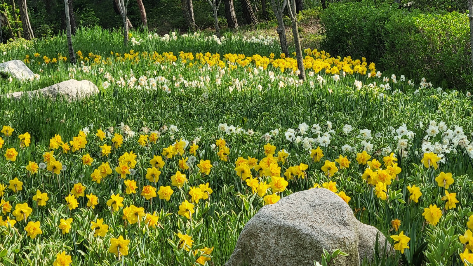 바다향기수목원