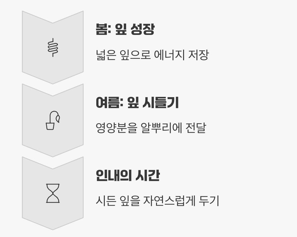 이별은 새로운 시작&amp;#44; 잎의 희생